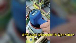 SF6 Leak Detector in Leak Detection